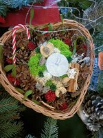 Szkoła Podstawowa w Korczynie